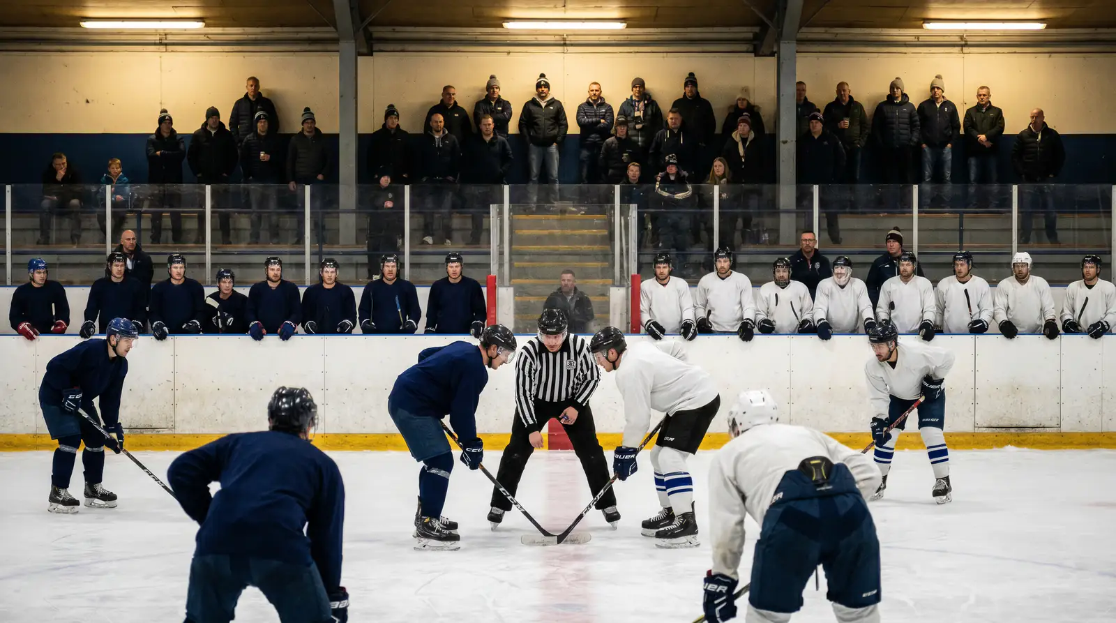 EIHL UK arena face-off with passionate hometown attendance behind the glass